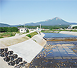 河川・護岸の維持管理工事